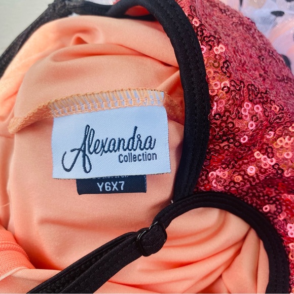 Heart Sing Skirted Leotard. Like new size 6/7 - Picture 9 of 9